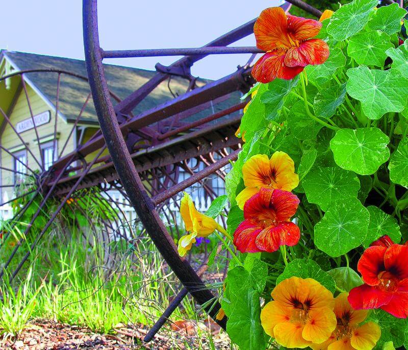 Ardenwood Historic Farm