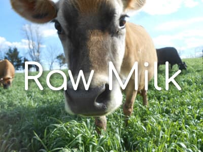 Avery's Branch Farms