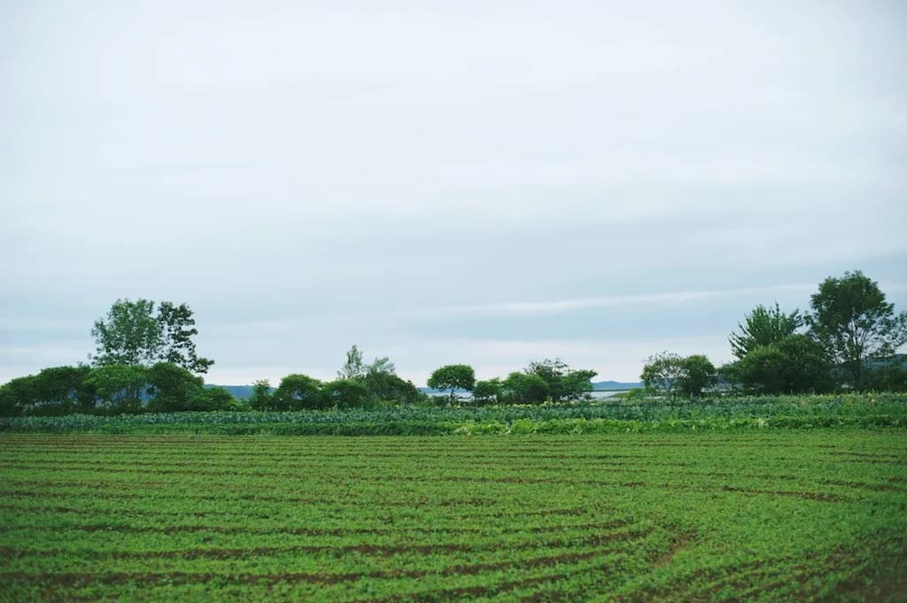 Six River Farm Stand