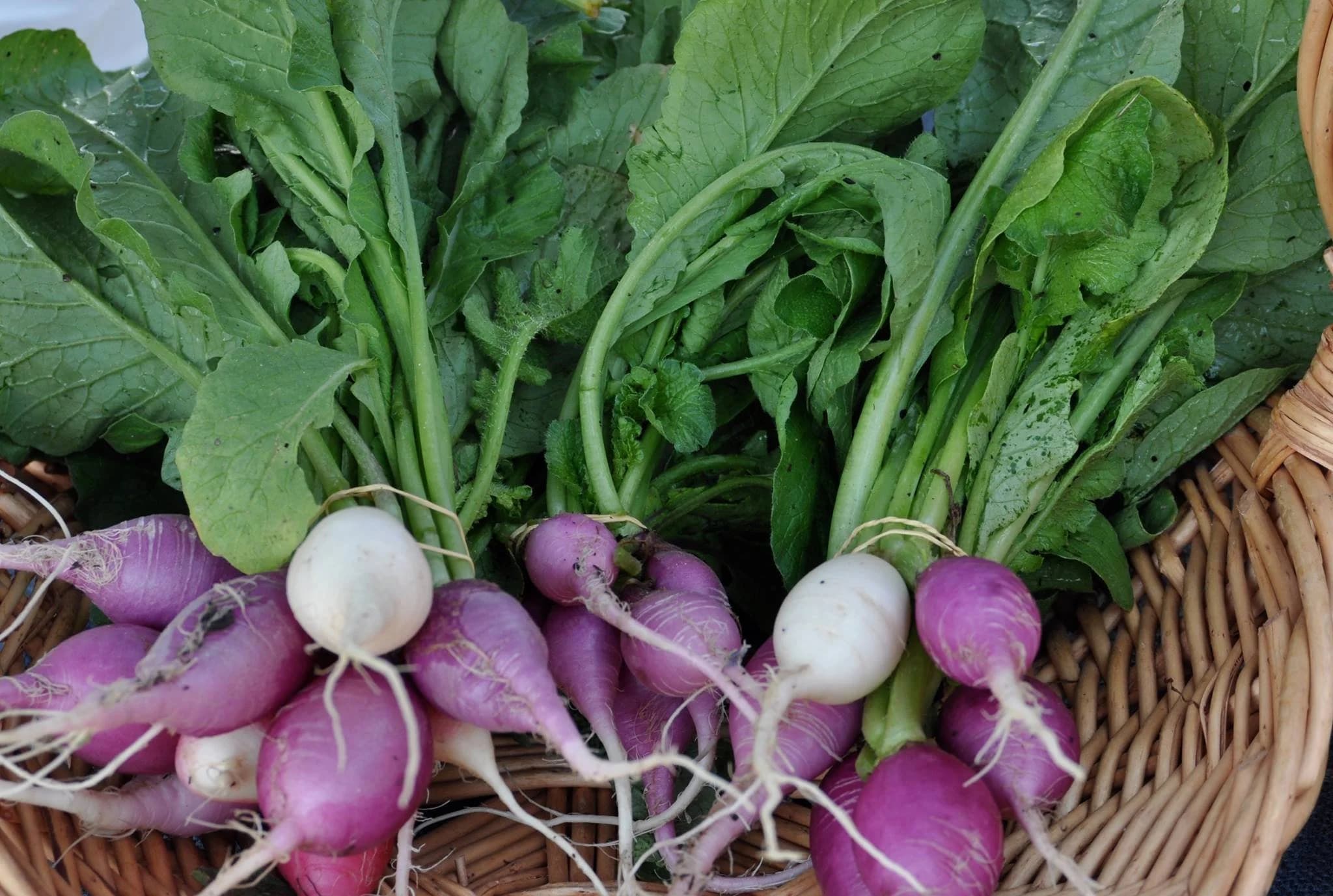 The Greene Street Market at Nativity