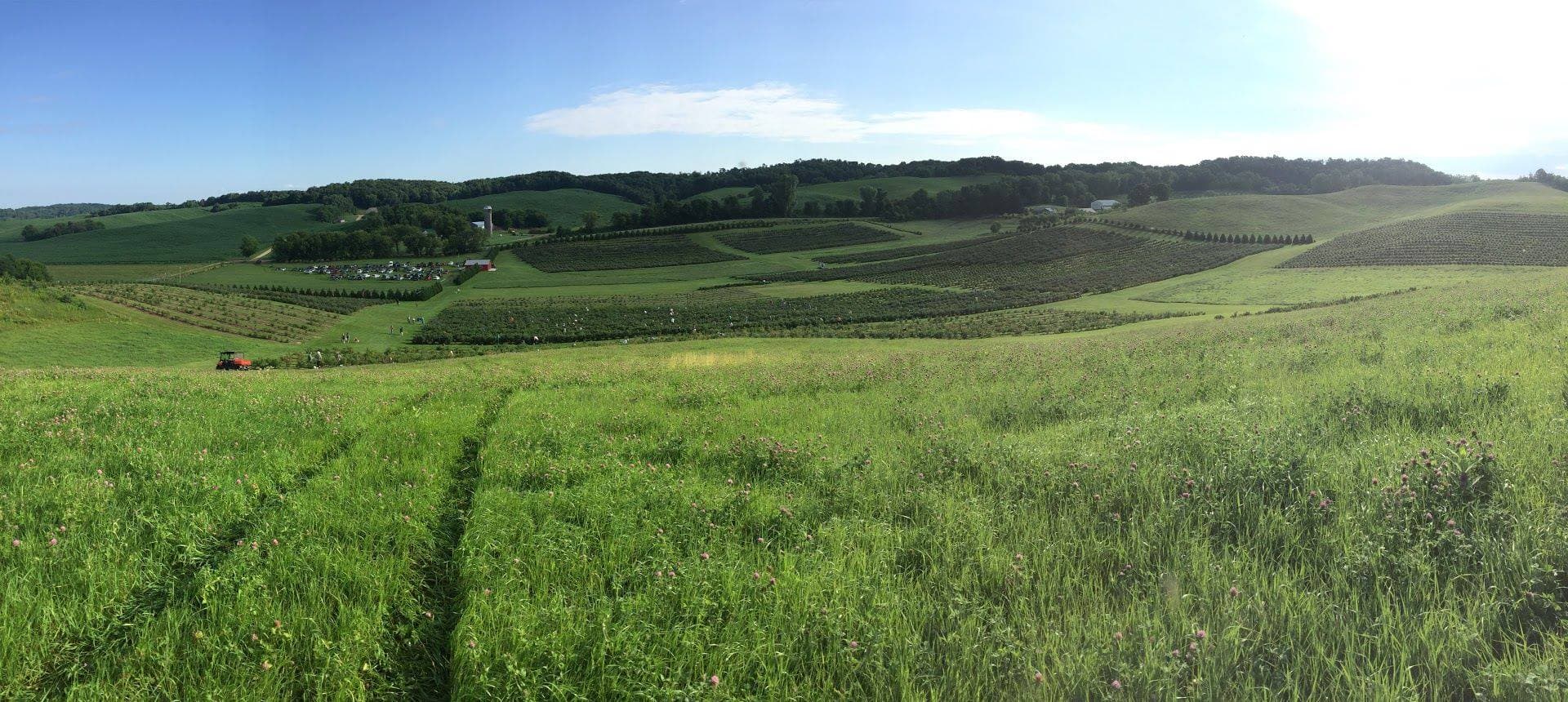 Blueberry Ridge Orchard