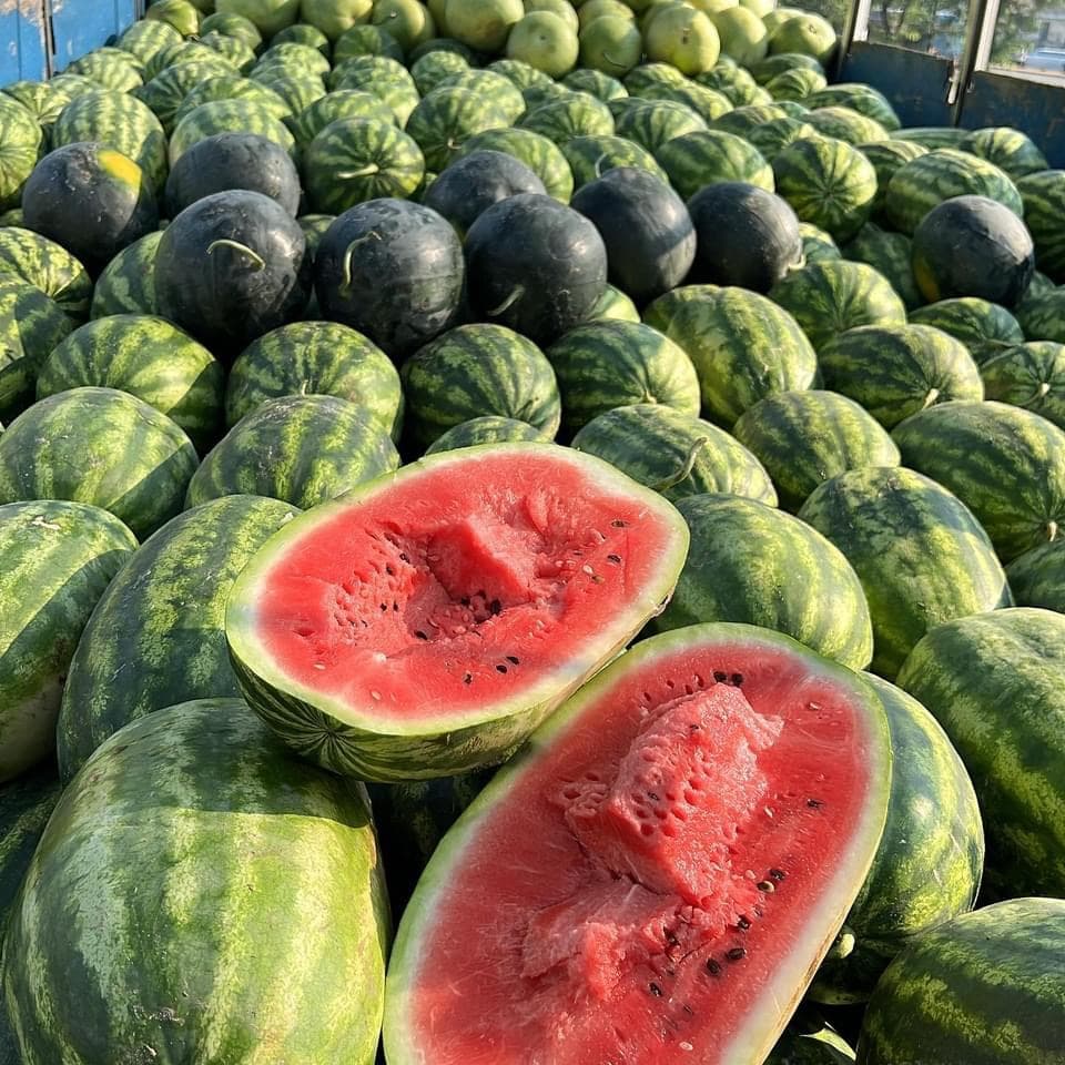 Baylors Melon Market