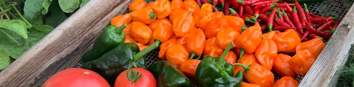 Long Beach Farmers Market