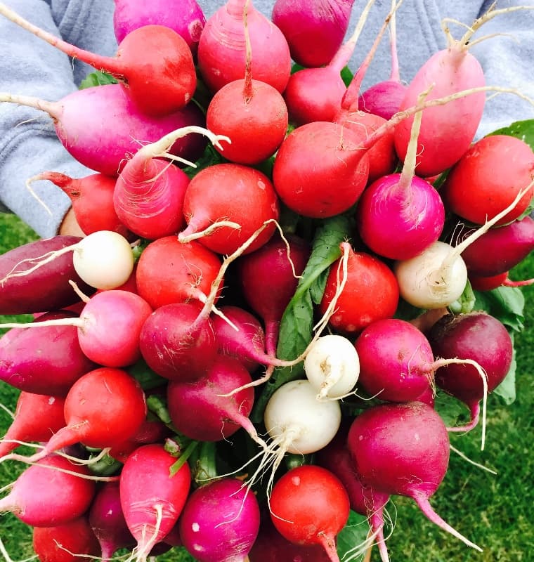 Orchard Homes' Farmers' Market