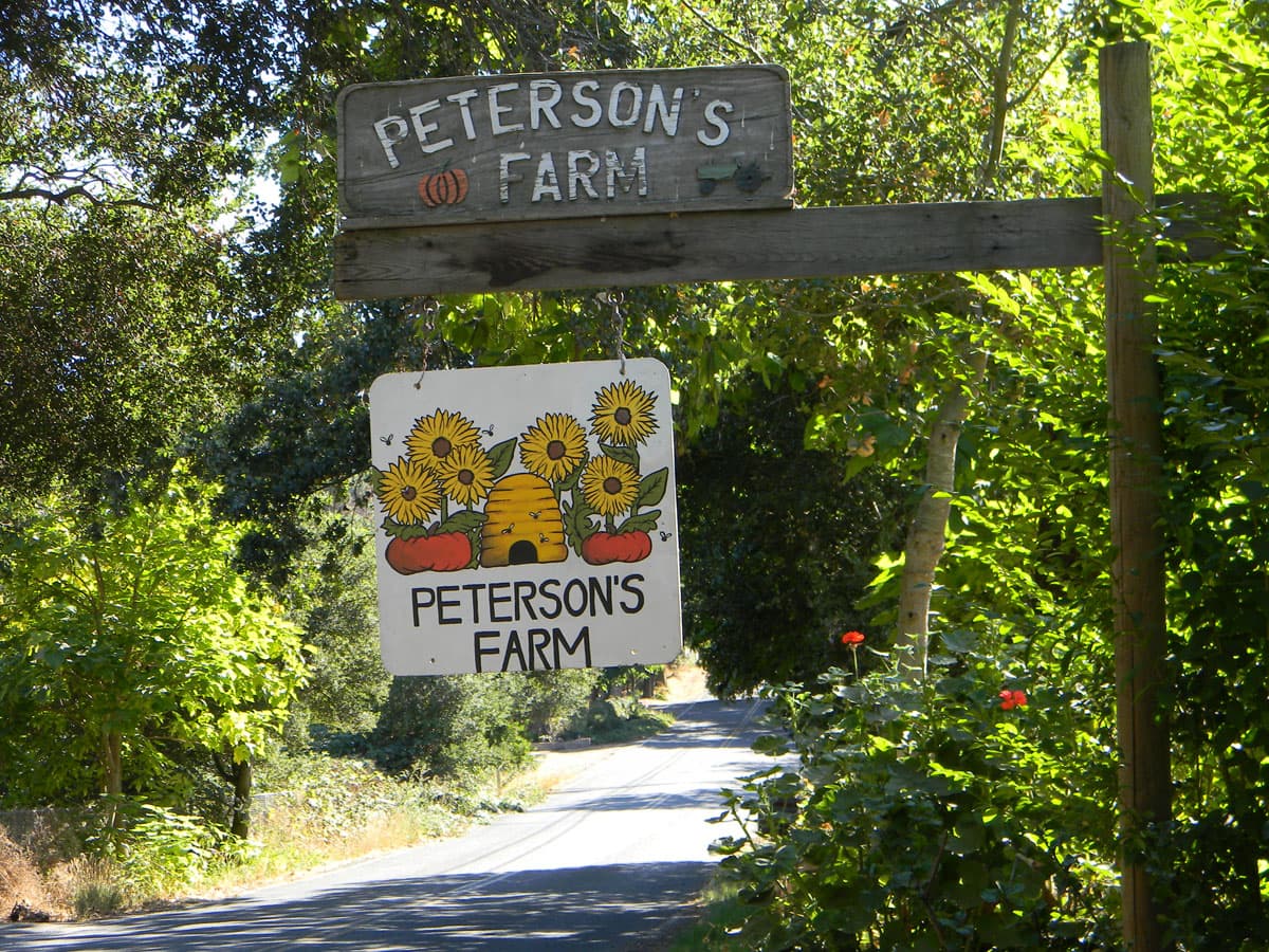 Peterson's Farm