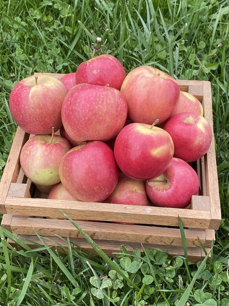 Grobe Fruit Farm Ltd