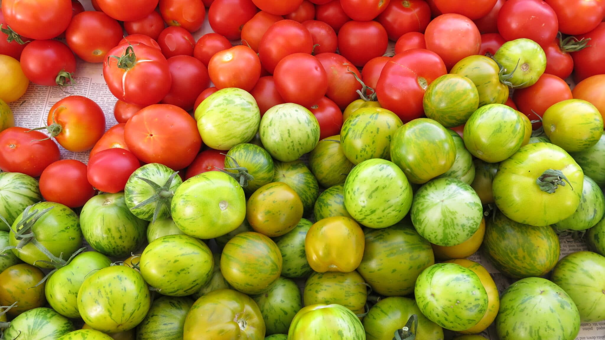 Santa Fe Farmers Market