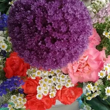 Richland Farmers Market