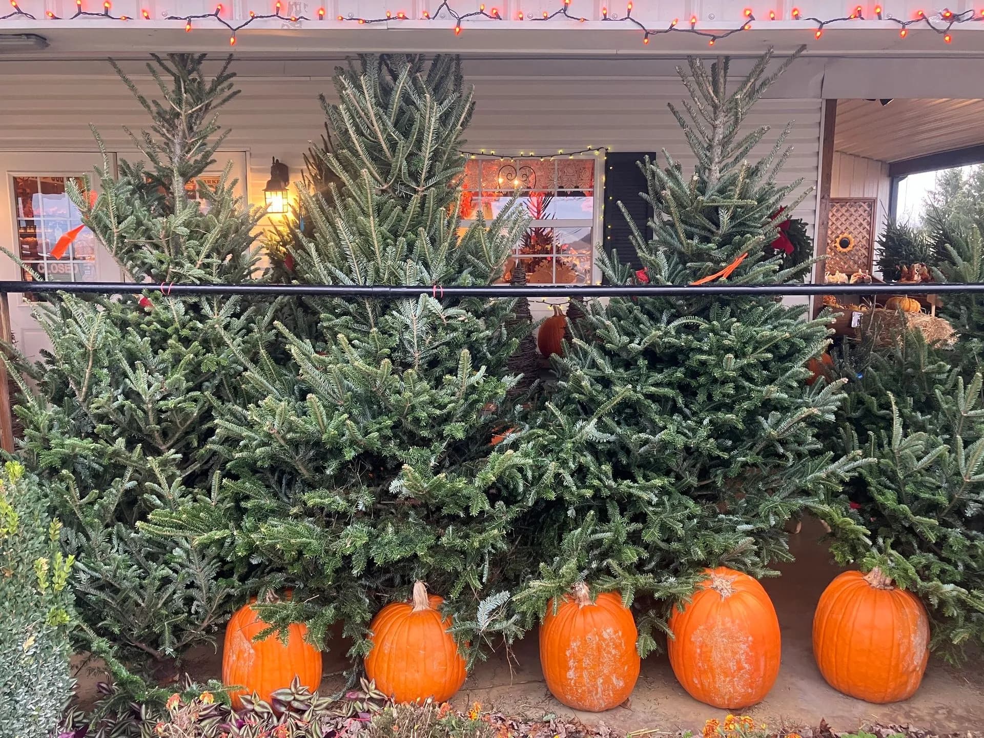 Tuken's Farm Market & Winery