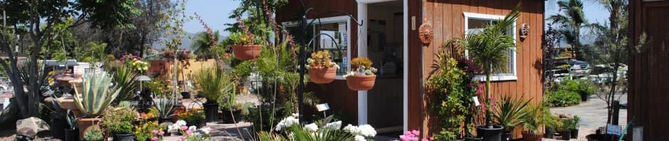 Rancho Valhalla Nursery