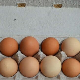 Florida Fields to Forks csa