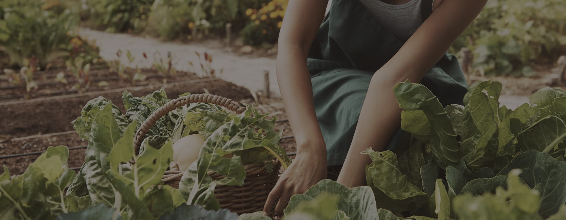 Stuckmeyer's Farm Market