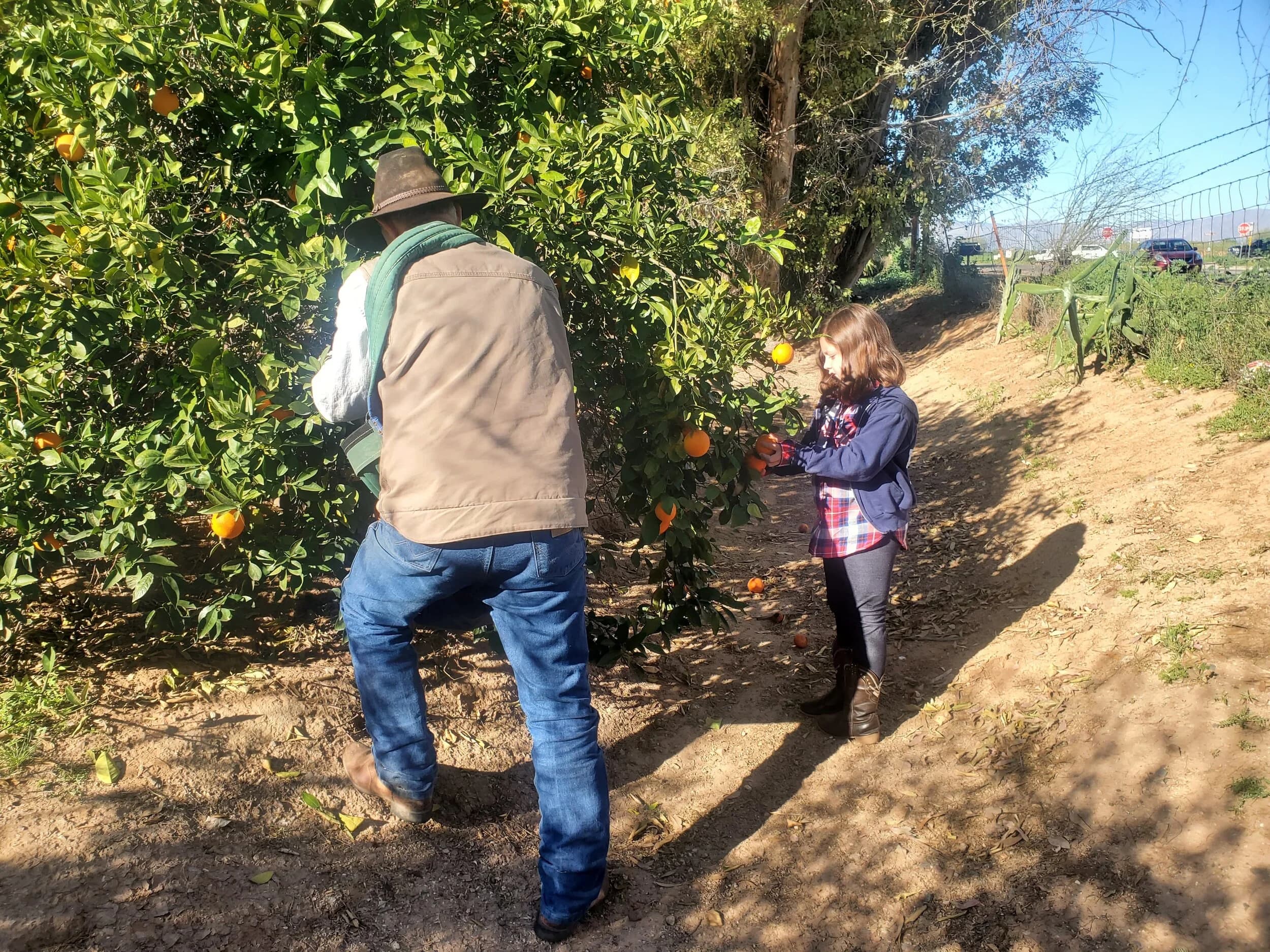 Justice Brothers U-Pick