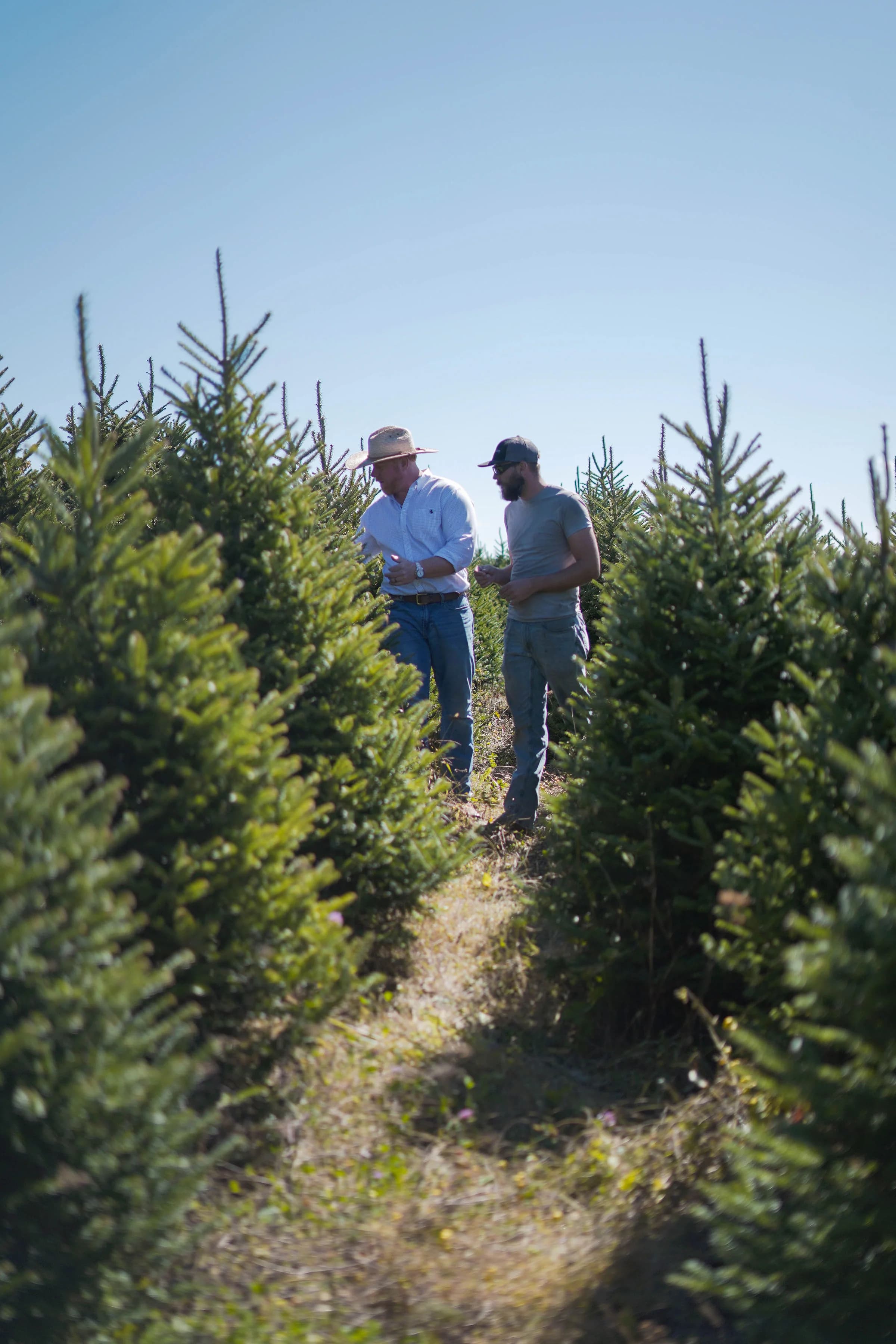 Hayes Farms - Wilton Manors