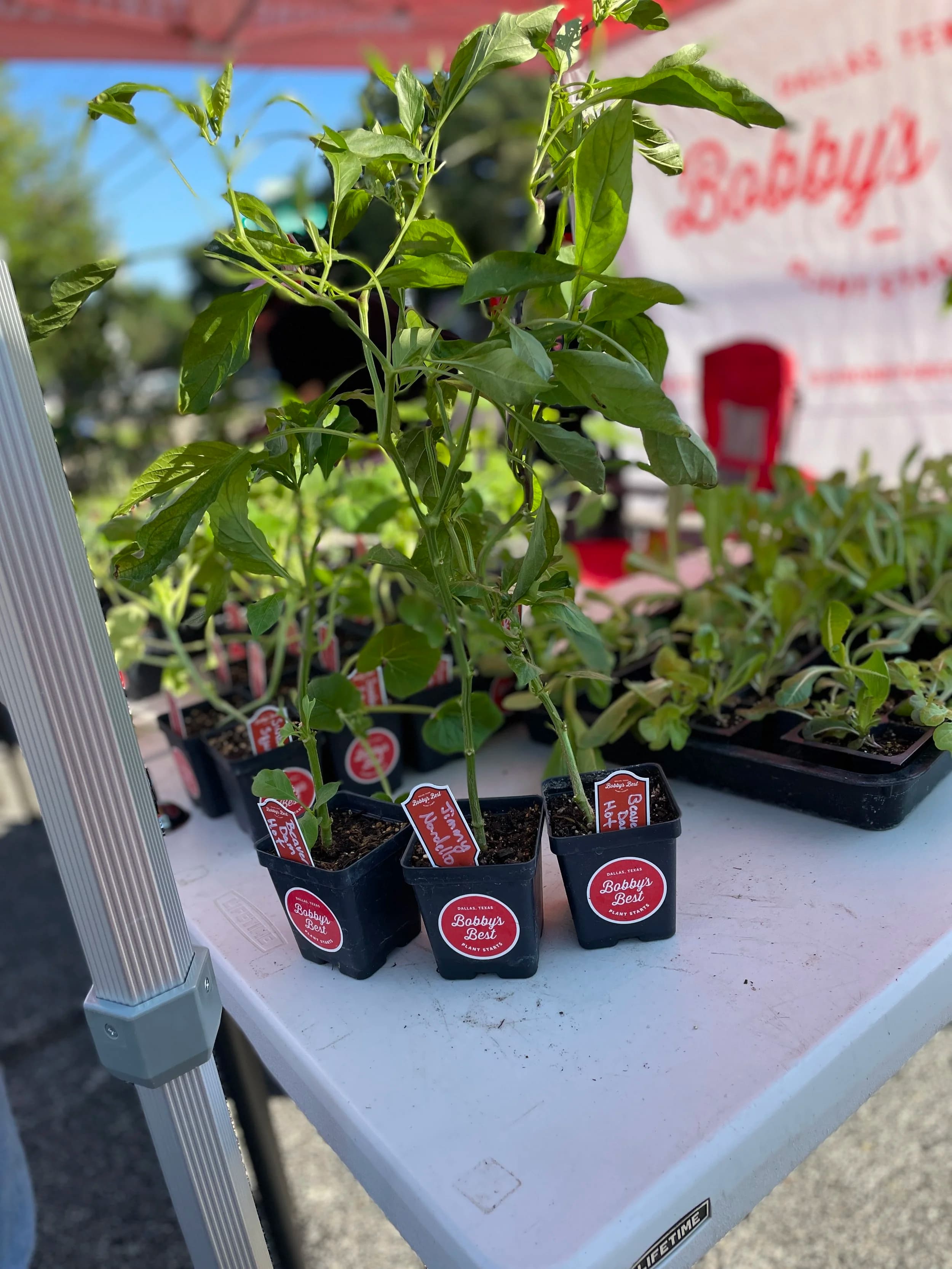 Lakewood Tower Farmers Market