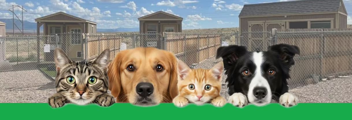 Watermelon Mountain Ranch