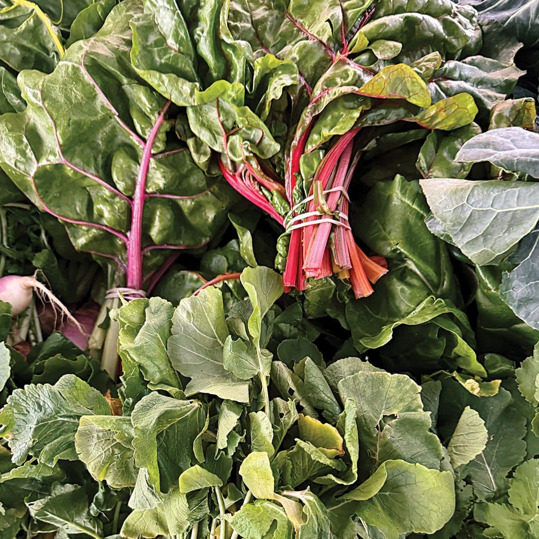 Dallas Farmers Market