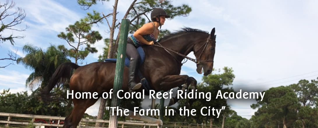 Coral Reef Riding Academy (New Spirit Farm)