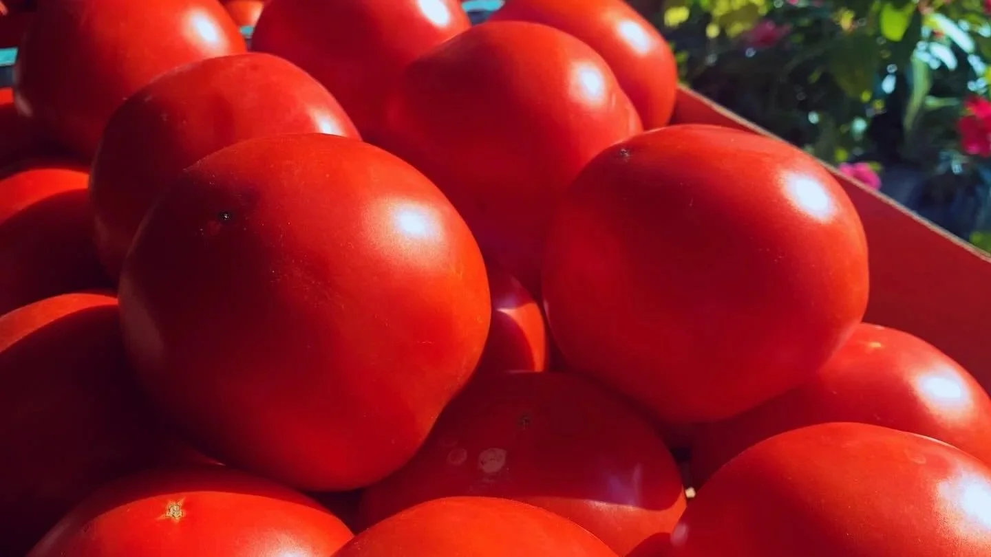 Farmers Market of Grapevine