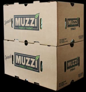 Muzzi Family Farms