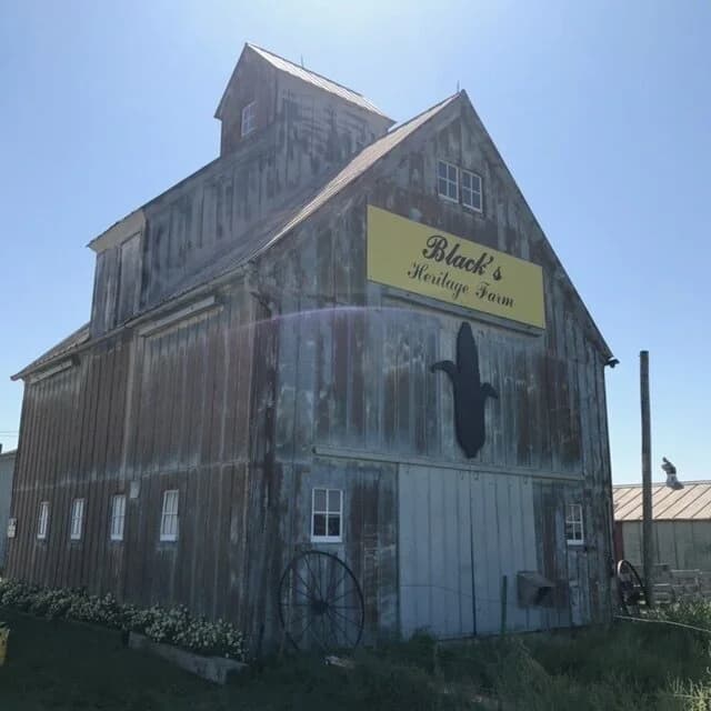 Black's Heritage Farm