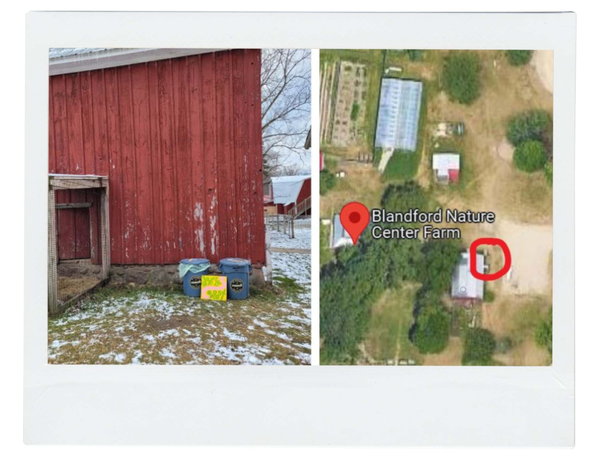 Blandford Nature Center Farm