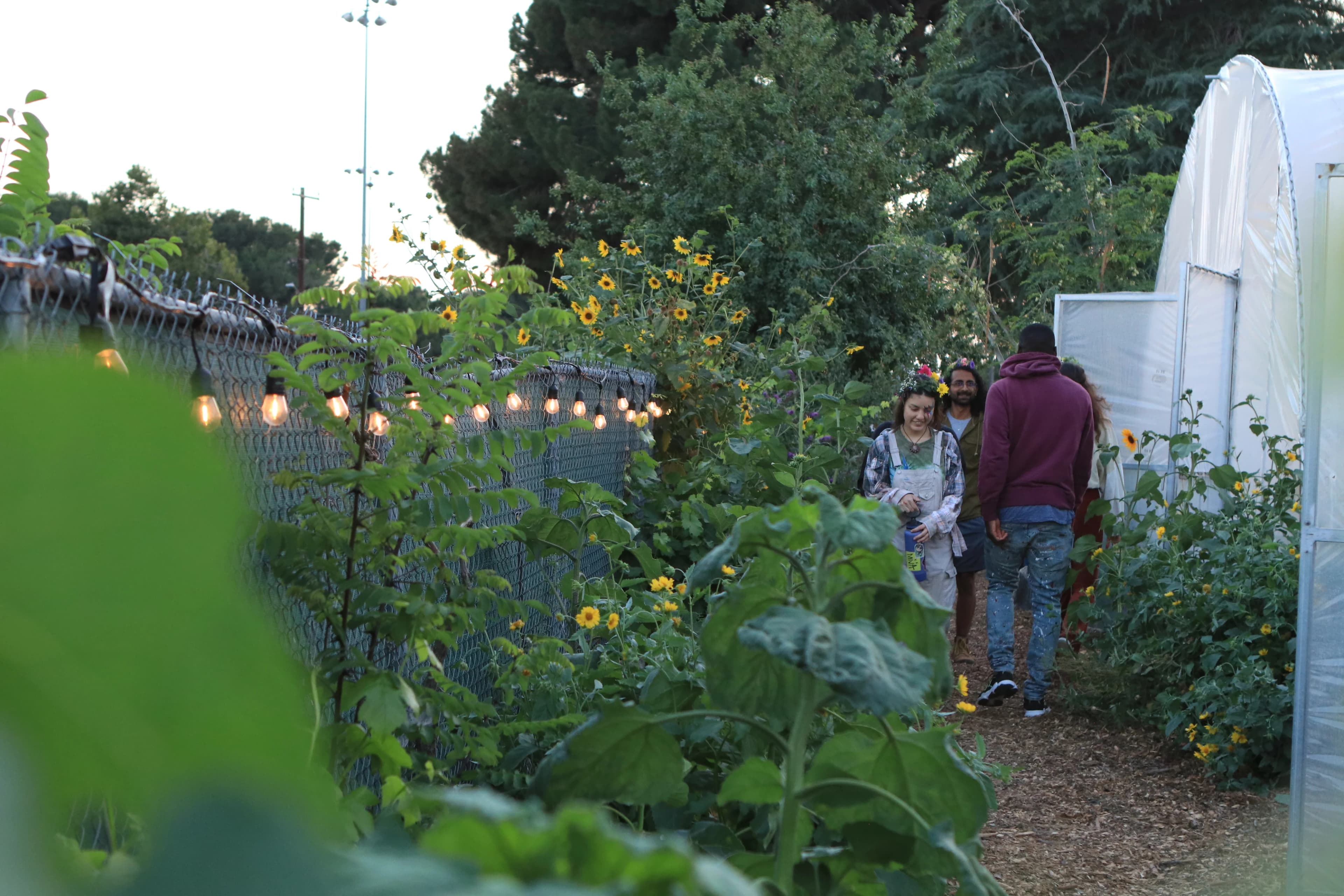 Sarvodaya Farms and Nursery