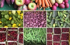 Nichols Farm & Orchard