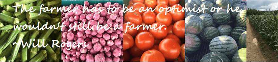 Mid-Town Farmers' Market