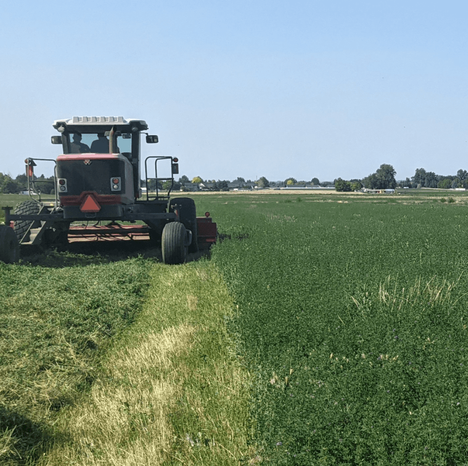 Idaho Fantastic Farms