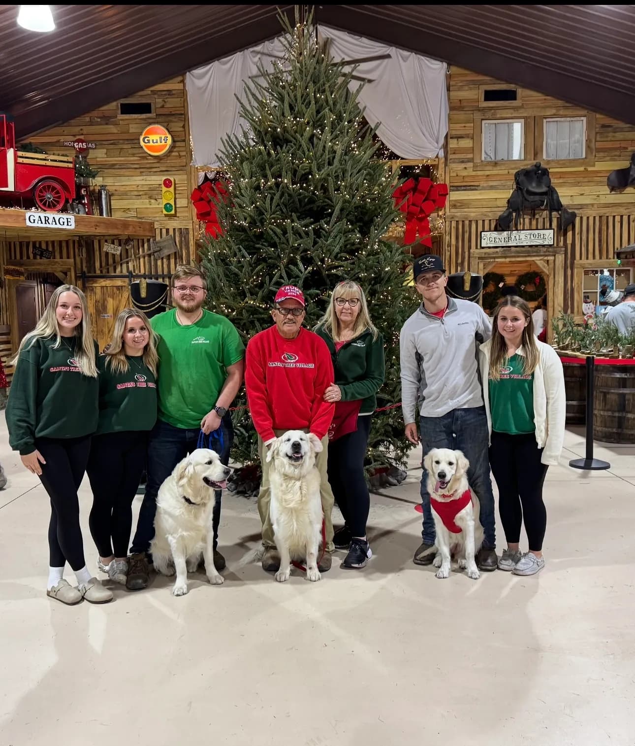 Lowry's Santaβs Tree Village