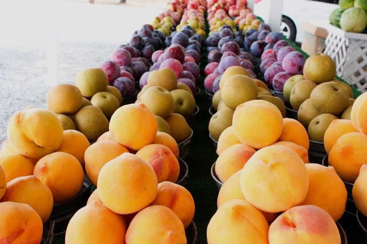 Cipponeri Family Farms