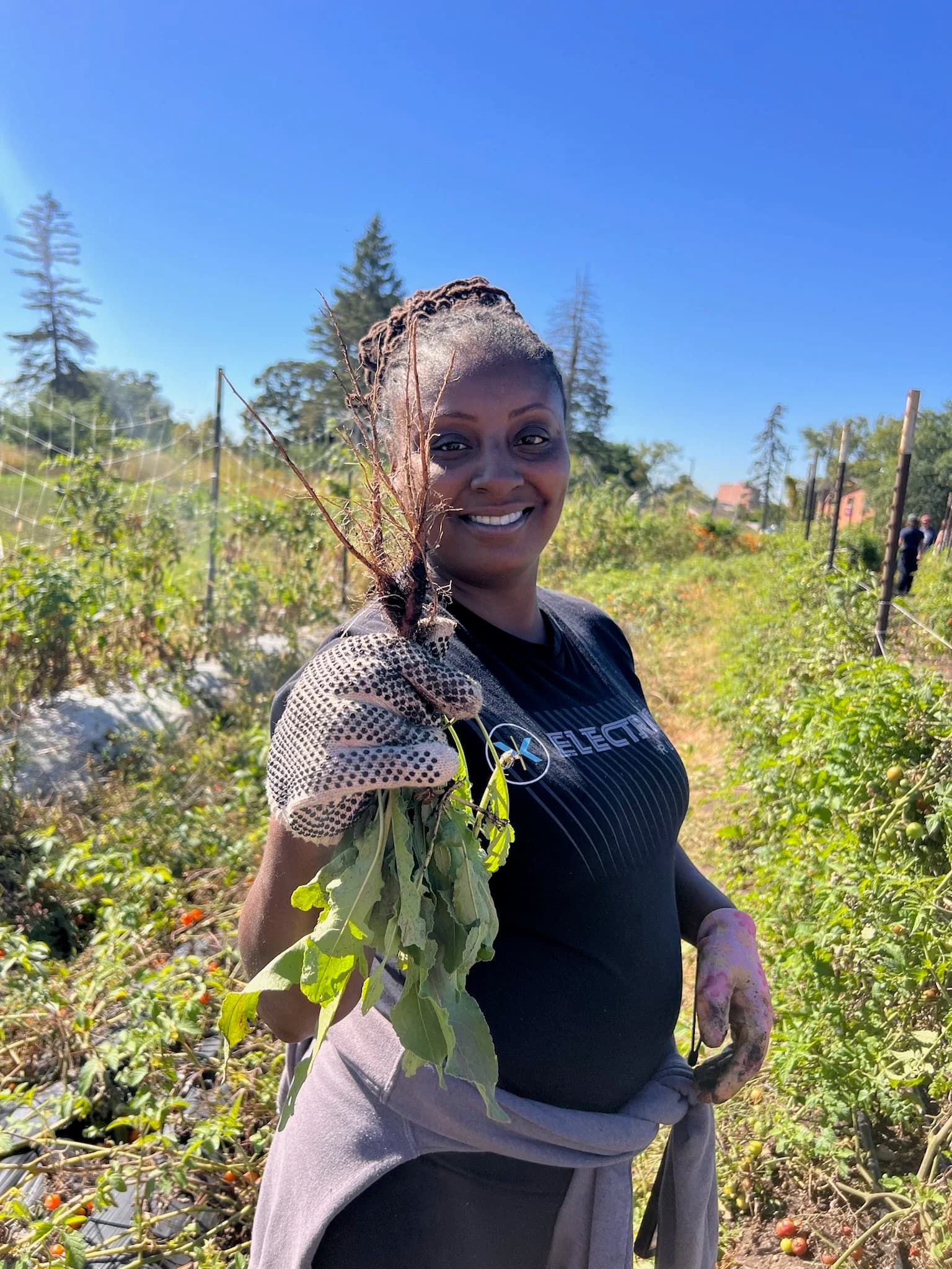 Frogtown Park and Farm