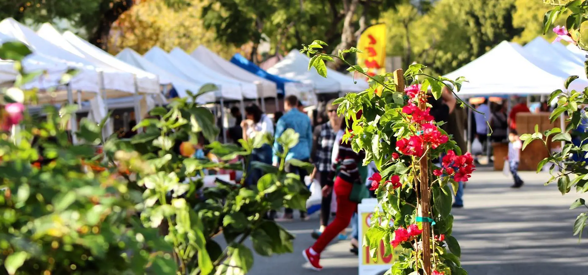 Montrose Farmers Market