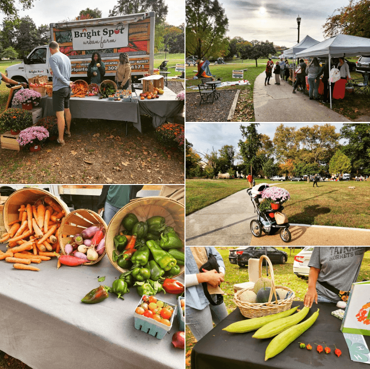 Westside Farmers Market at Cool Spring Park