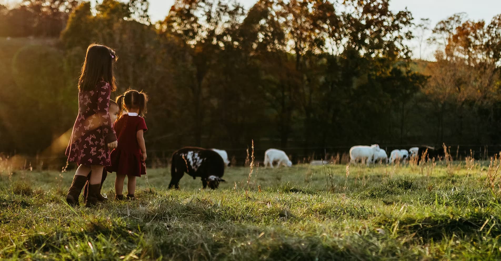 Three Daughters Farm