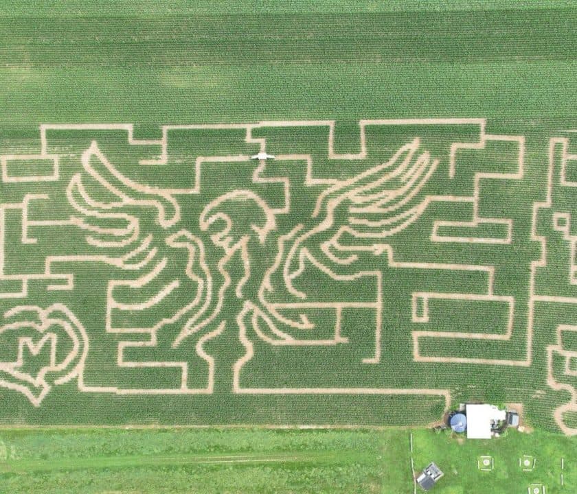 Duncan's Corn Maze and Pumpkin Patch