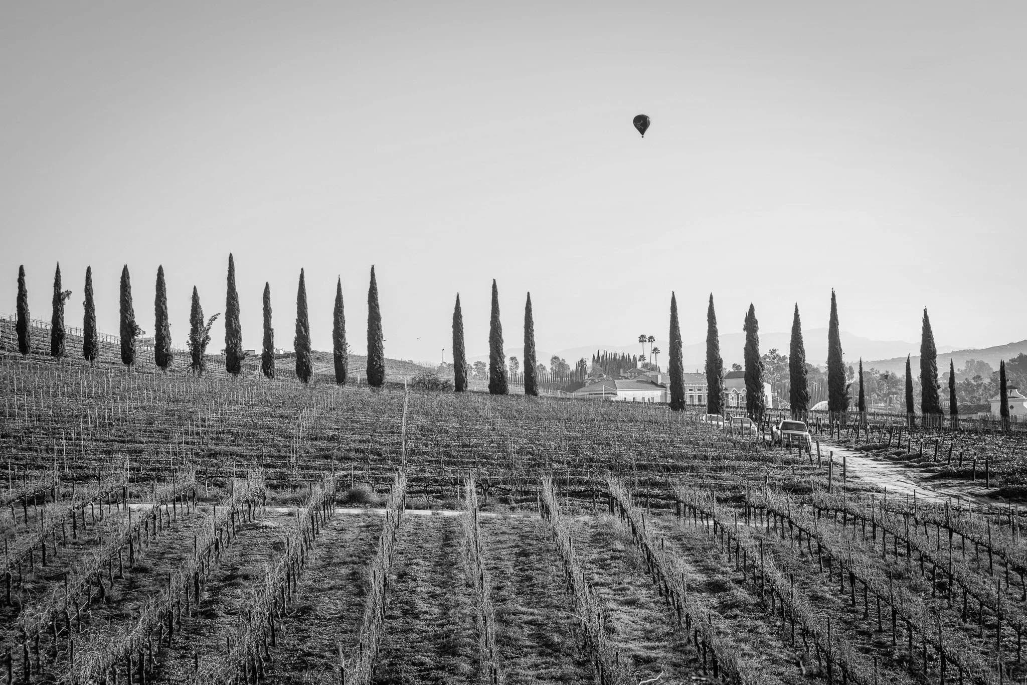 Halter Ranch Temecula