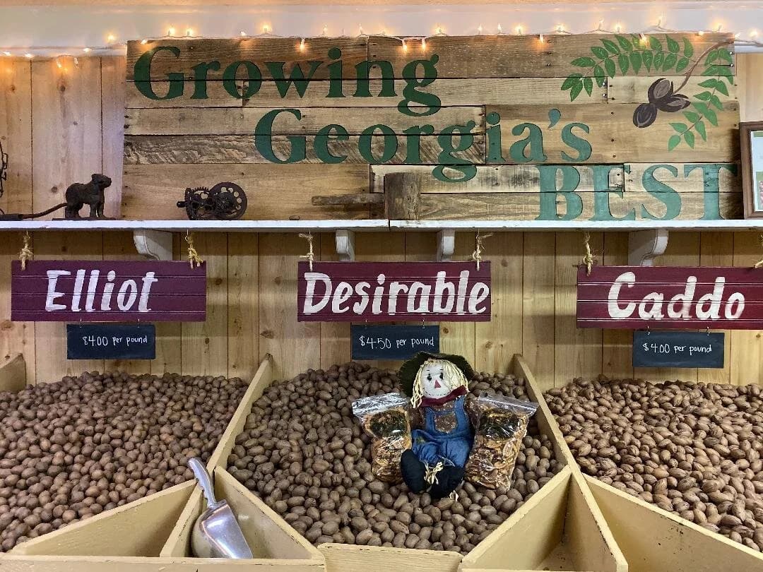 Georgia Pecan Farms