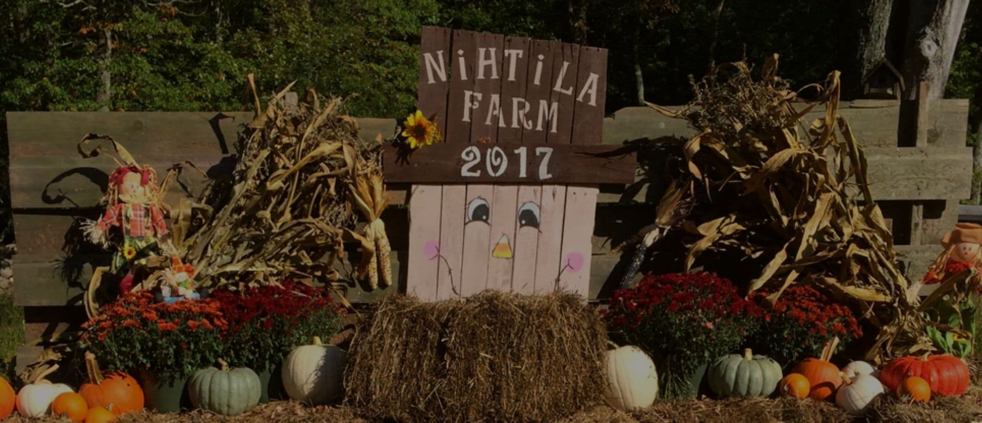 Nihtila Farm