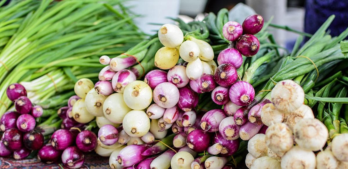 Dane County Farmers' Market