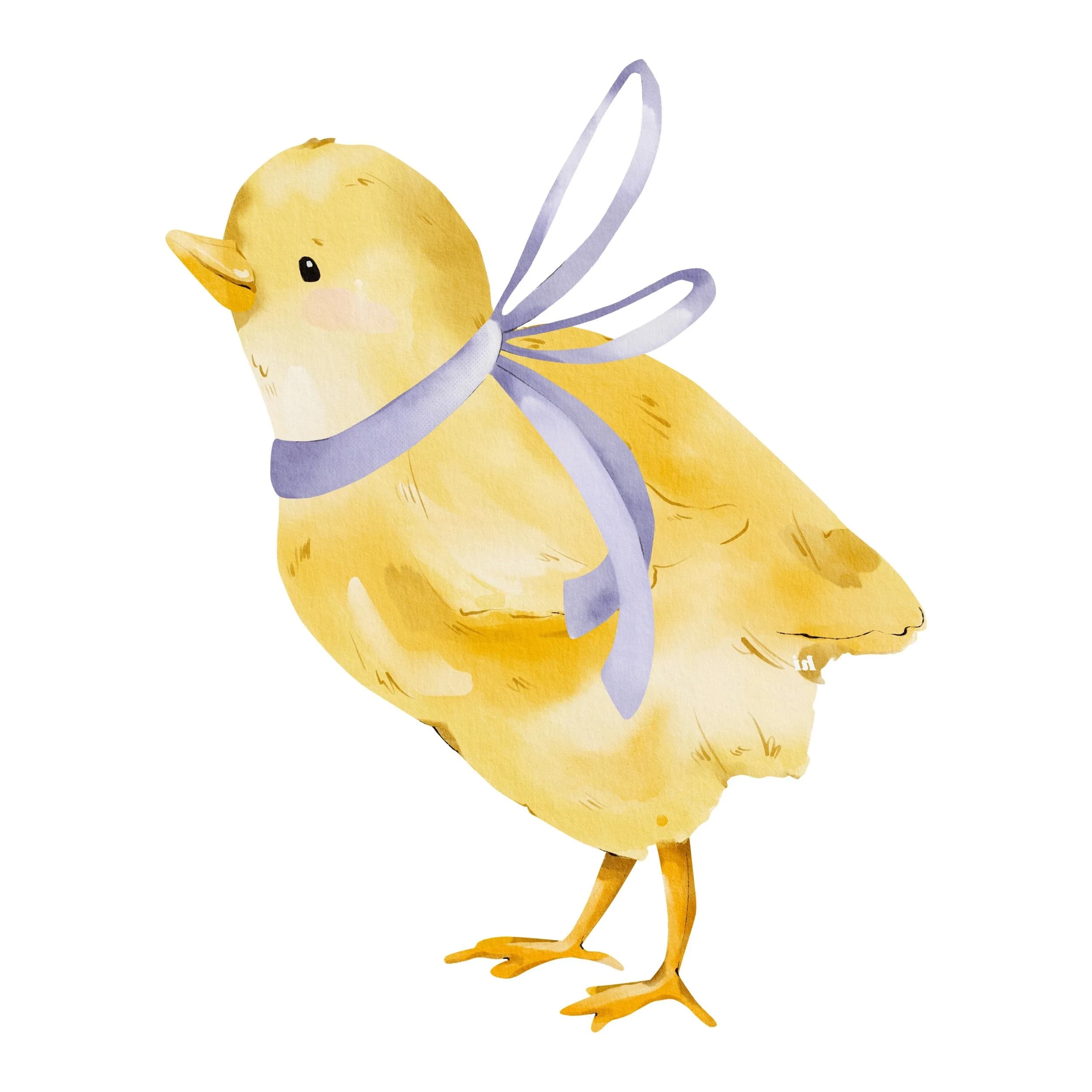 Country Critters Farm, LLC