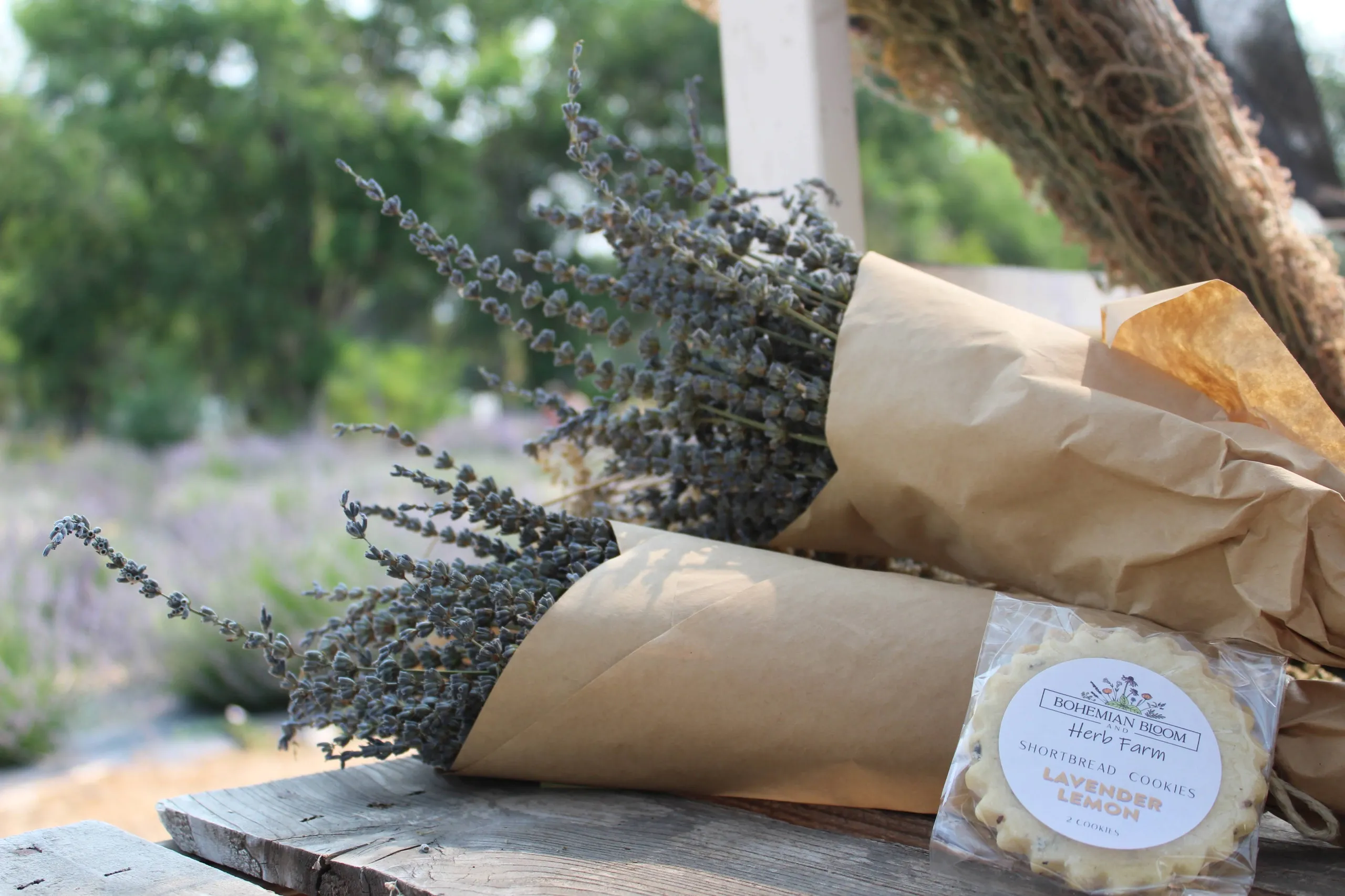 Bohemian Bloom and Herb Farm