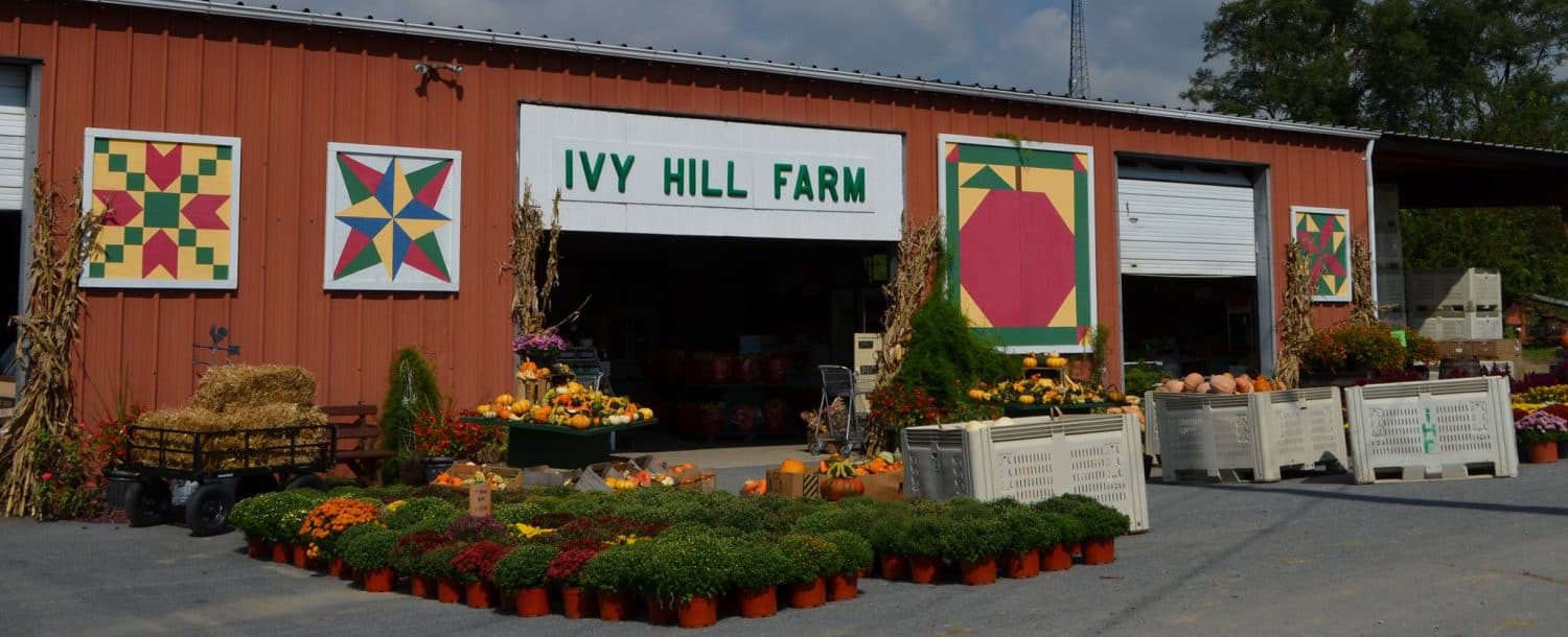 Ivy Hill Farm