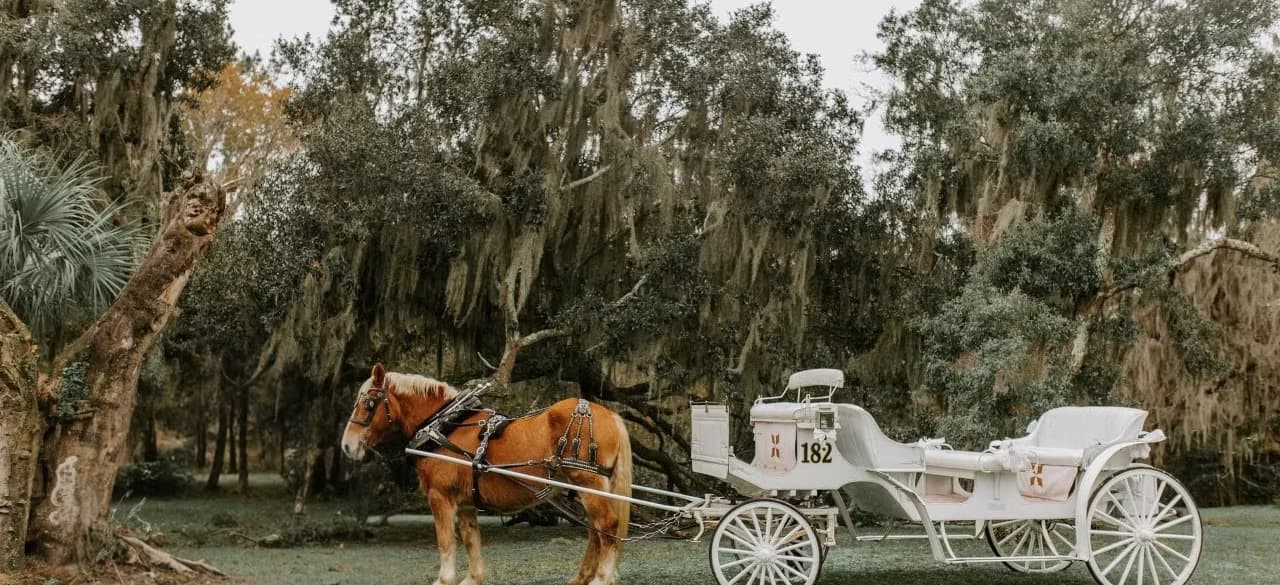Red Gate Farms - Equestrian Center