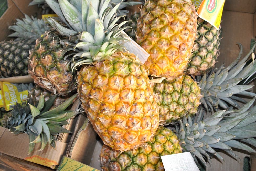 Mission Gorge Farmers' Market