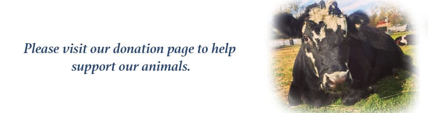 Lewis Oliver Farm Sanctuary