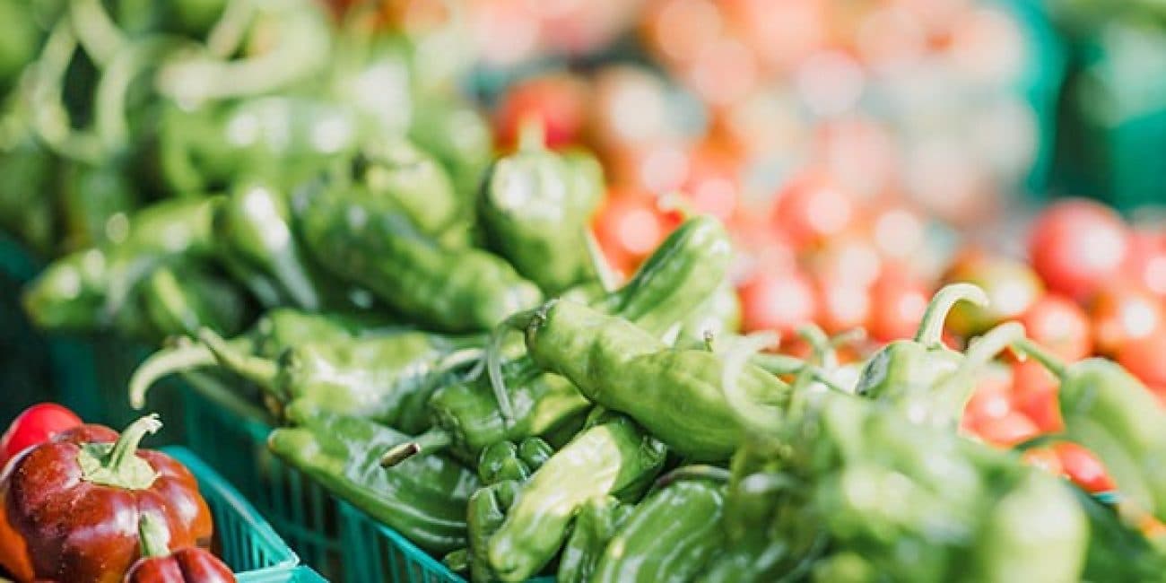 Ormond Beach Farmer's Market