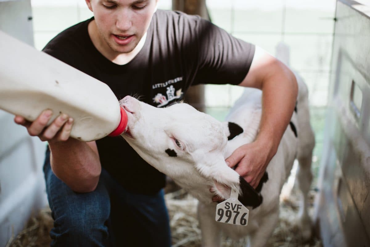 Sweetwater Valley Farm