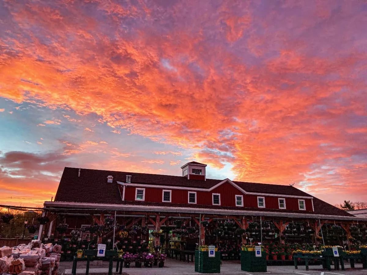 Calareso's Farm Stand & Garden Center